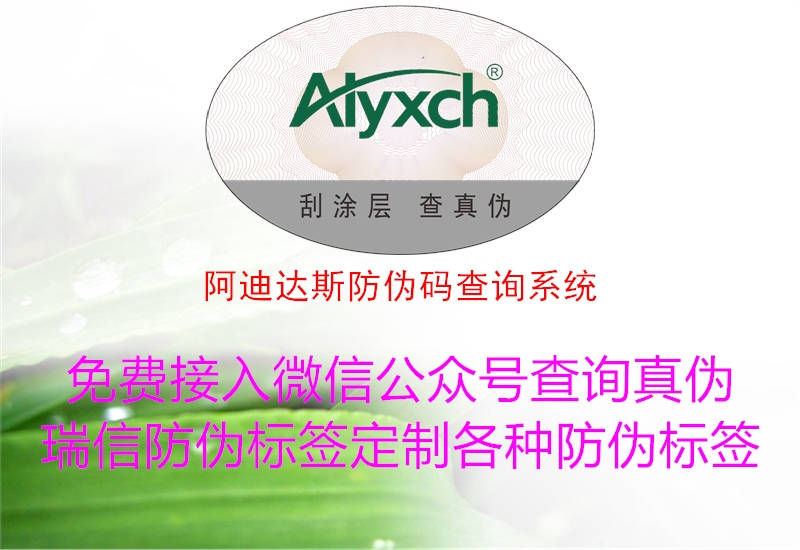 阿迪達斯防偽碼查詢系統(tǒng)(圖2) 阿迪達斯防偽碼查詢系統(tǒng)2.jpg