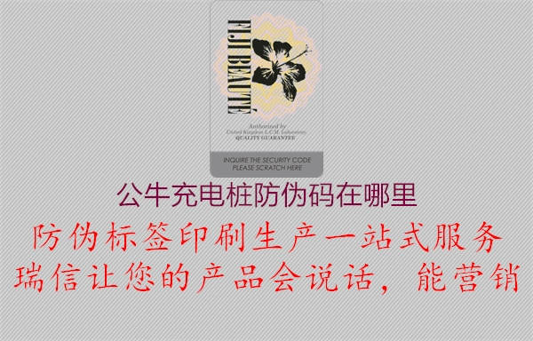 公牛充電樁防偽碼在哪里(圖2) 公牛充電樁防偽碼在哪里2.jpg
