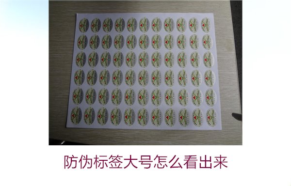 防偽標(biāo)簽大號怎么看出來2.jpg
