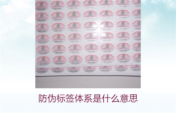 防偽標(biāo)簽體系是什么意思1.jpg