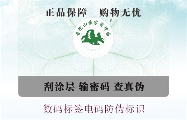 數(shù)碼標(biāo)簽電碼防偽標(biāo)識(shí)(圖1) 數(shù)碼標(biāo)簽電碼防偽標(biāo)識(shí)(圖1)