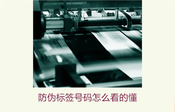 防偽標簽號碼怎么看的懂？詳細解析防偽標簽號碼的識別方法與技巧(圖1)