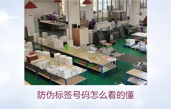 防偽標簽號碼怎么看的懂？詳細解析防偽標簽號碼的識別方法與技巧(圖2)