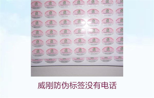 威剛防偽標(biāo)簽沒(méi)有電話，如何通過(guò)其他方式驗(yàn)證威剛防偽標(biāo)簽的真?zhèn)?圖3)